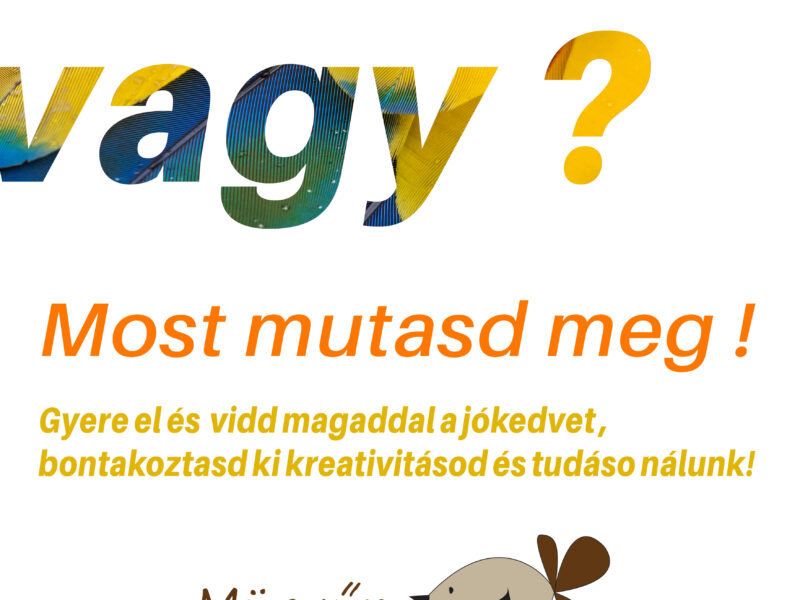 Grafikai munkák, nyomdai anyagok, szórólapok