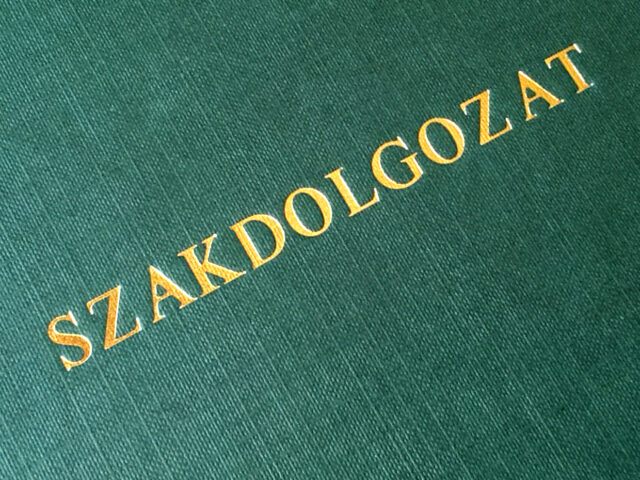 Szakdolgozati konzultáció, tanácsadás 